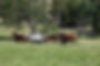 MichelleGoughDSC_0277.JPG