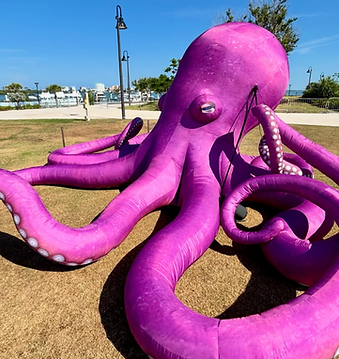 octo2.png