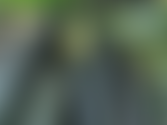 20 High Producing Zucchini's for Canadian Gardens
