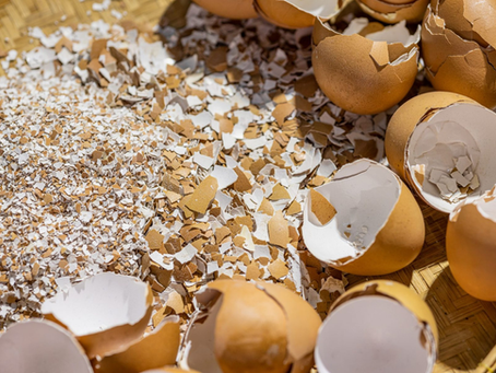 How to Make Calcium for Your Garden Using Eggshells