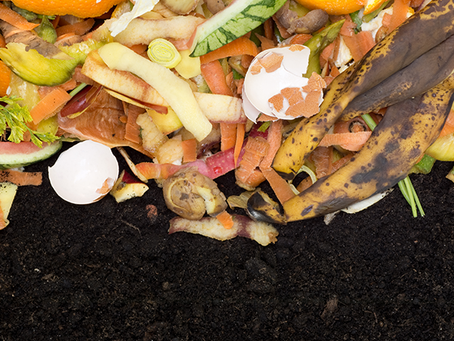 How to Create a No Waste Food Amendment for Your Garden