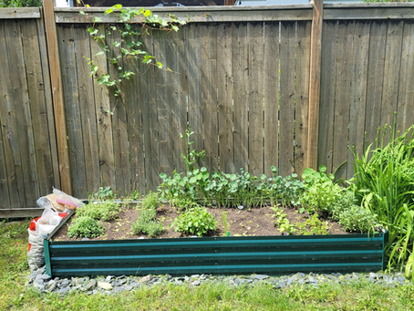 2026 Food Garden for a Neighbour