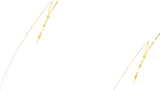 8.png