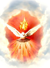 05.25.26pic.jpg