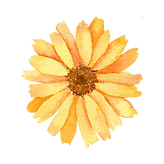 Productfotos 11 (5).png