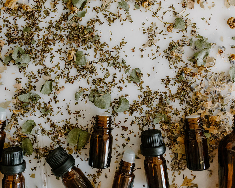 Ontwerp zonder titel (16)_edited.jpg