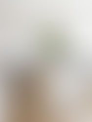 Piso vinílico no banheiro e na cozinha: pode?