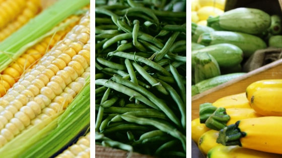 Beans corn and squash three sister companion planting