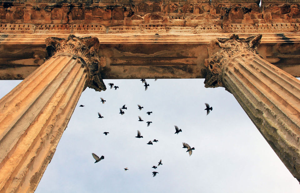 A flock of birds flying across the ancient Roman ruins of Dougga, Tunisia — UNESCO World Heritage site showcasing history, culture, and archaeology.