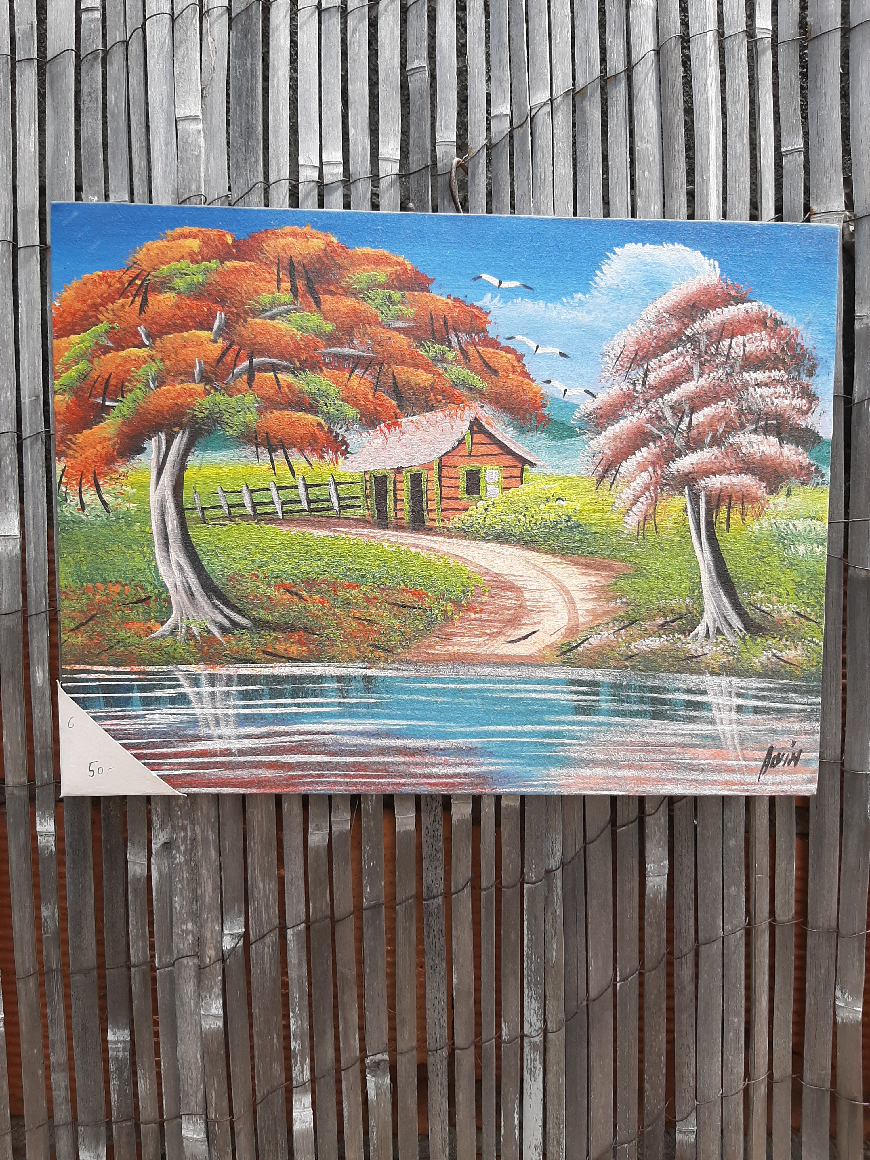  Flamboyant et jacaranda