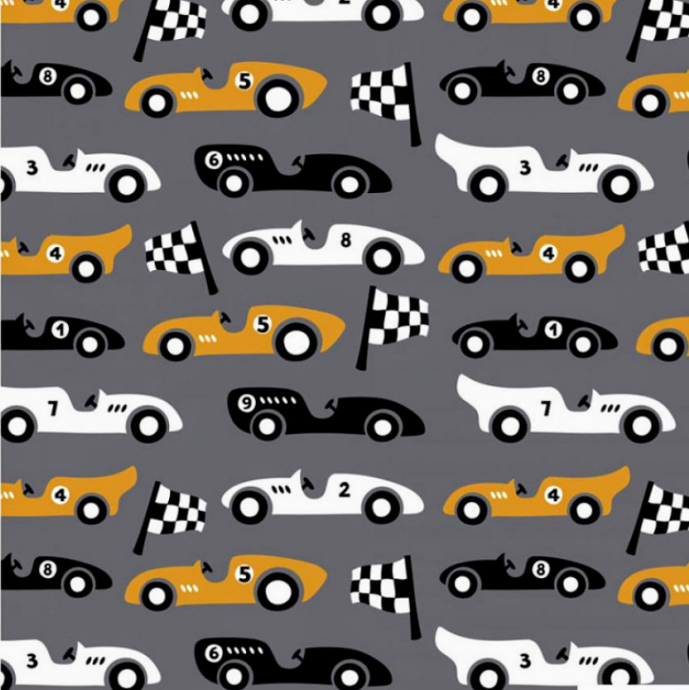 Paapi_dino_cars_109