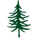 trailhead tree 4.png