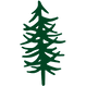 trailhead tree 3.png