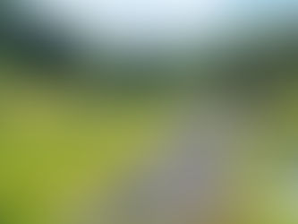 La Troticoltura Vinante: storia di una famiglia