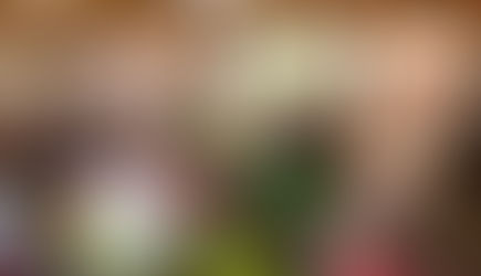 La riflessione di Michele Nardelli su Terre Alte | Trento