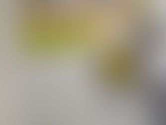 Le prospettive 2026 per Slow Food Trentino