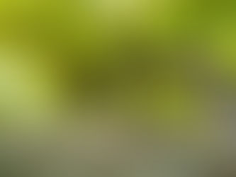 L’ENANTIO A PIEDE FRANCO È UN NUOVO PRESIDIO SLOW FOOD