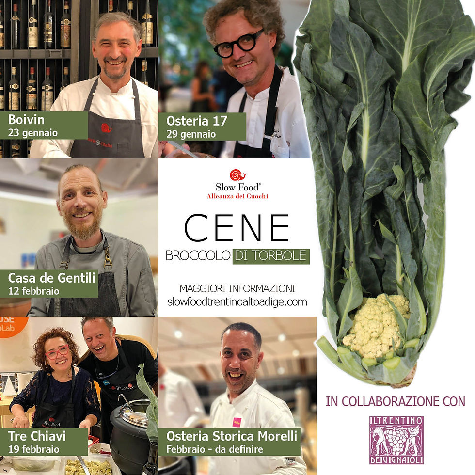 Cene dedicate al Broccolo di Torbole dei Cuochi dell'Alleanza