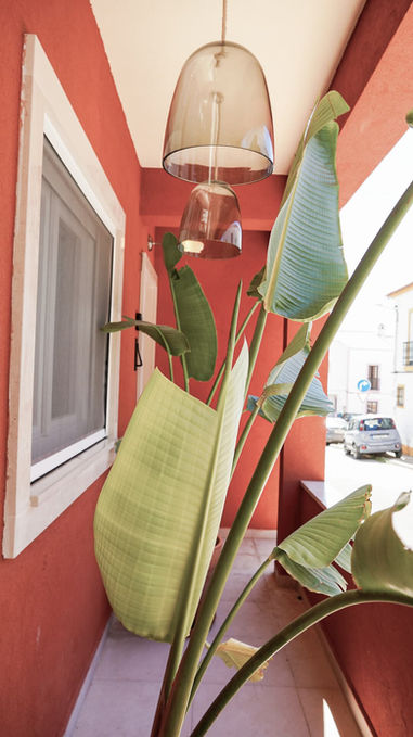 Eat at the great restaurants in Vila Nova de Milfontes