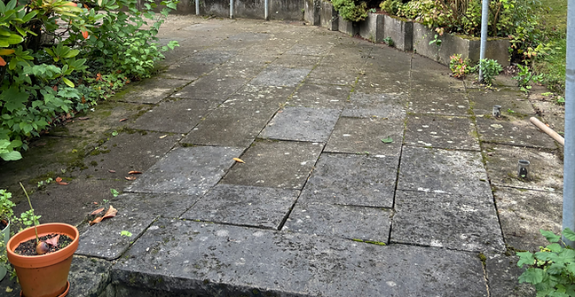 IMG_4908 2_edited.png