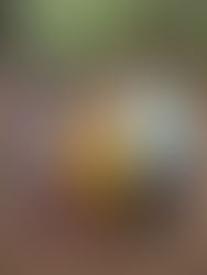 October 30th - November 3rd