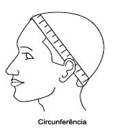 Circunferencia Cabeça.gif