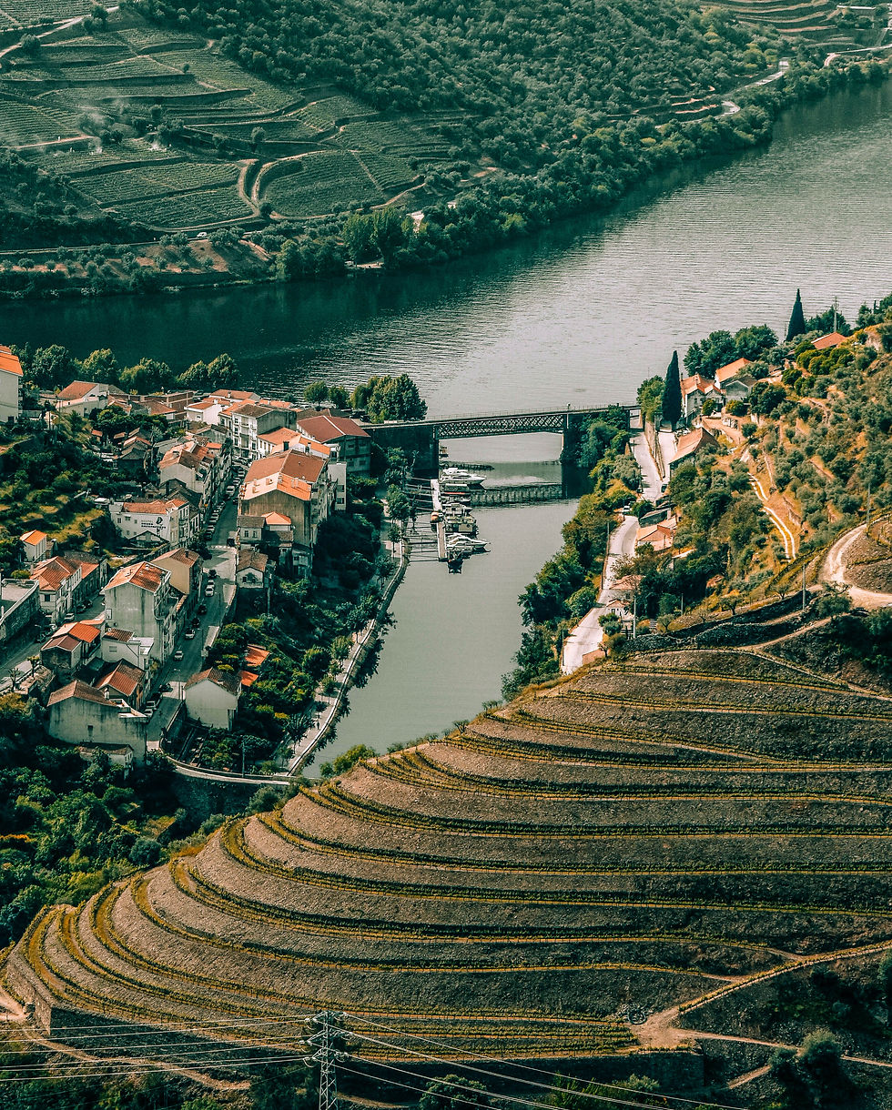 Terraced vineyards press toward Pinhão from every direction — a geometry that took centuries and countless hands to build. Photo by Juliana Crillanovick on Unsplash.