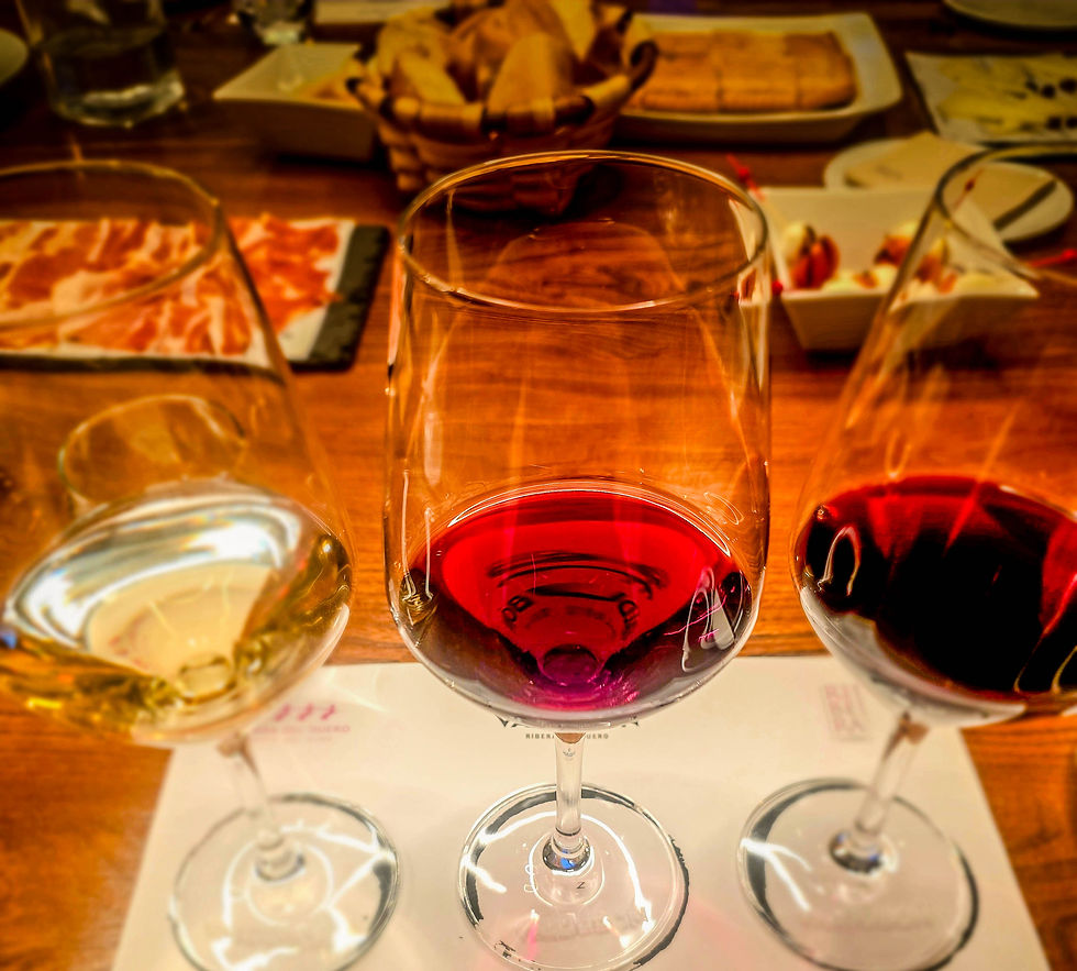 Jamón, artisan cheeses, and three glasses catching the light at Bodega Valdubón, where the tasting inevitably becomes a meal. Photo by Jodi Howe/Between Trips Travel