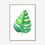 Thumbnail: Monstera Leaf print