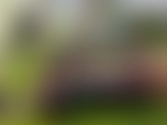 Children with certificates