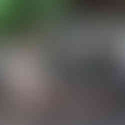 Volunteers at Harnas