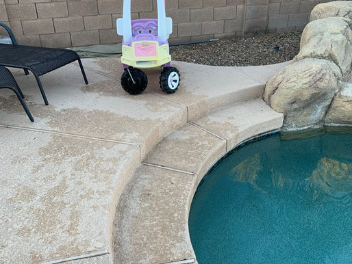 Sunday Survival Story: Freja