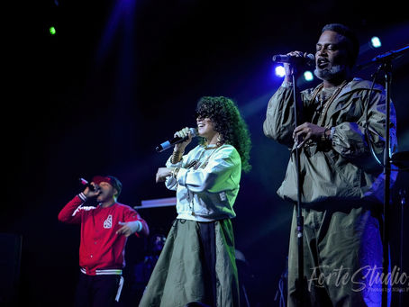 Digable Planets Reachin 30th Anniversary Tour | Bogart's