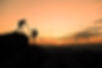 AdobeStock_227683862_edited.jpg