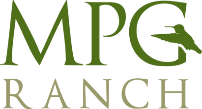 MPG_Color_logo_light_RANCH_edited.png