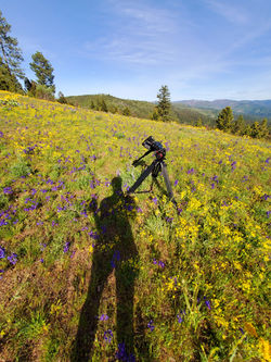 Pollinator palooza! On location for Stewards of Land