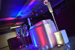 Party DJ Essex - Moji Entertainer