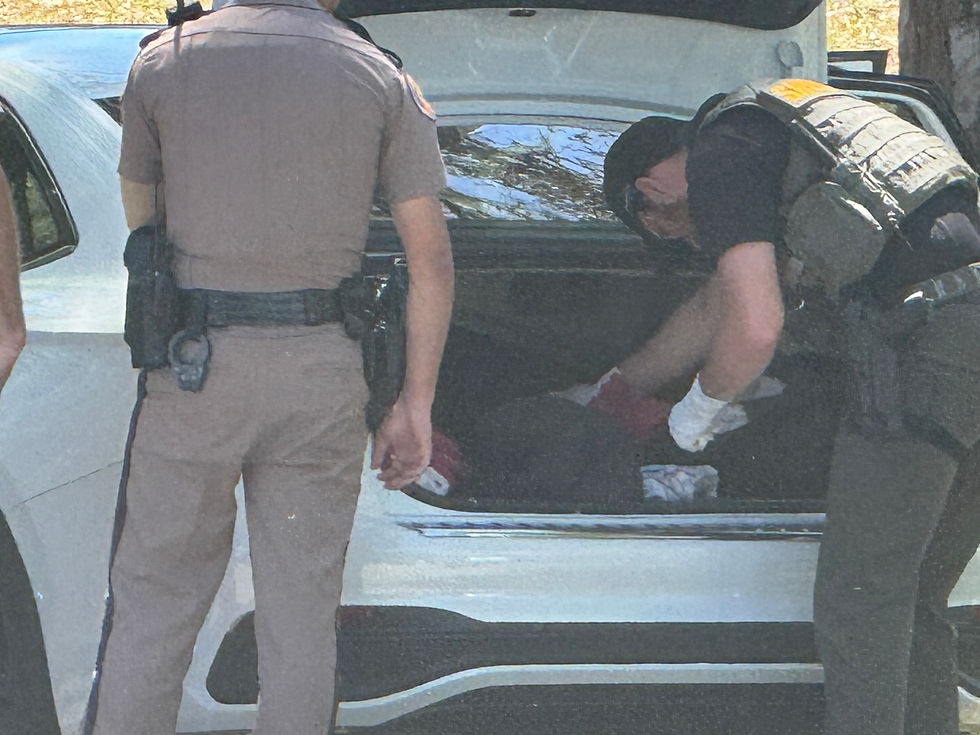 Three Juveniles Arrested After Stolen Vehicle Pursuit in Seminole County