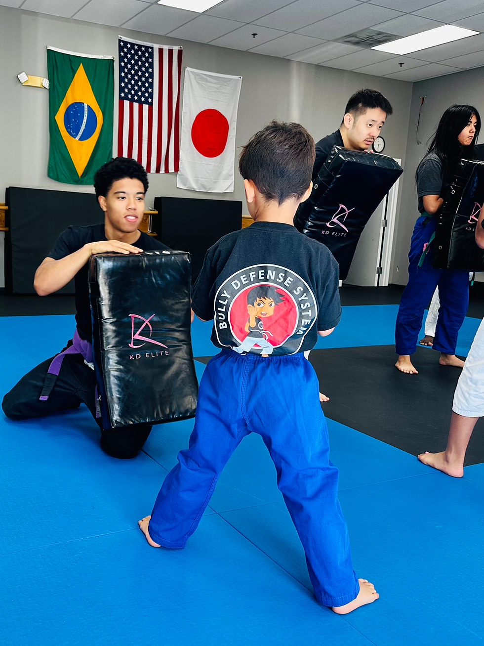 Kids Bully Defense program