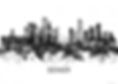 900_Towseef_Denver2.jpg