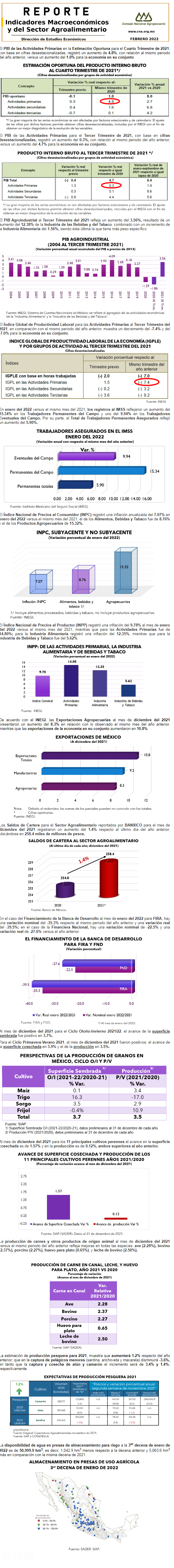 Reporte de Indicadores Macroeconómicos y Sectoriales del Sector febrero 2022.