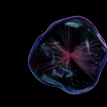 The Beginnings, Possibilities, and Future