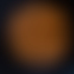 Perspectives on Focus