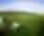 golf-club-with-ball_1160-442 (2).png