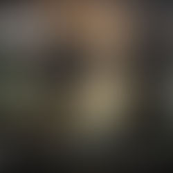 L'Early Access de PIONER se met à jour