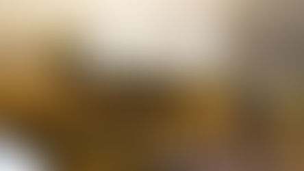 Early Access Steam Way of the Hunter 2