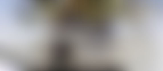 Test Steam Shadow Labyrinth