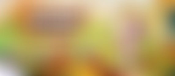 Test Nintendo Switch Sunseed Island