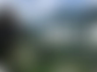 [Early Access][Steam] Gray Zone Warfare