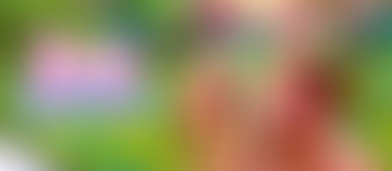 Test Steam Barbie Sentiers équestres